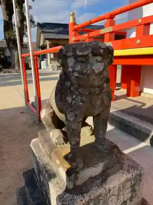 粟津天満神社の狛犬