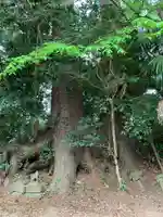 稲荷大神(千葉県)