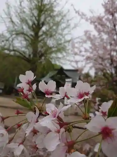 賀羅加波神社の自然