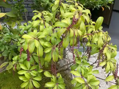 天寧寺(愛知県)