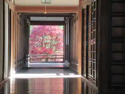 長谷寺(奈良県)