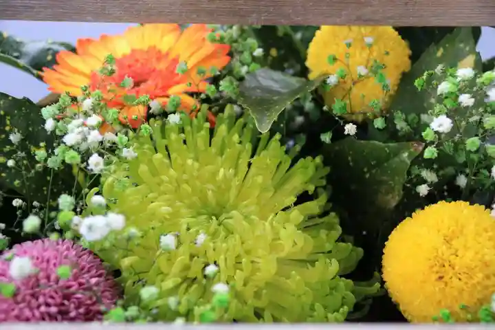 豊景神社の手水舎