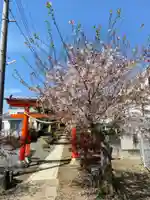大野神社(埼玉県)