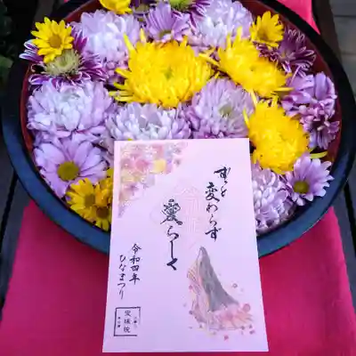 3月の元気のでる御朱印は「ひなまつり」。
ピンク色の和紙に十二単のお姫様が描かれた、とても上品なデザイン。
先月の御朱印がバレンタインデーだったので、今月はホワイトデーかと思いきや、こう来たか。
まぁ、そうですよね😅