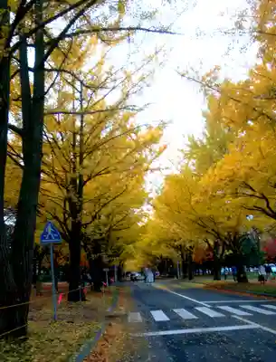 札幌諏訪神社の周辺