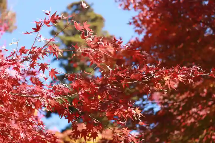 円覚寺(神奈川県)