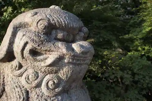 晴明神社の狛犬