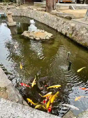 大宮賣神社(京都府)