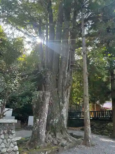 安房神社(千葉県)