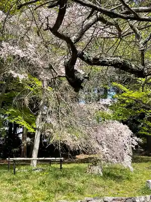 鷺森神社の自然