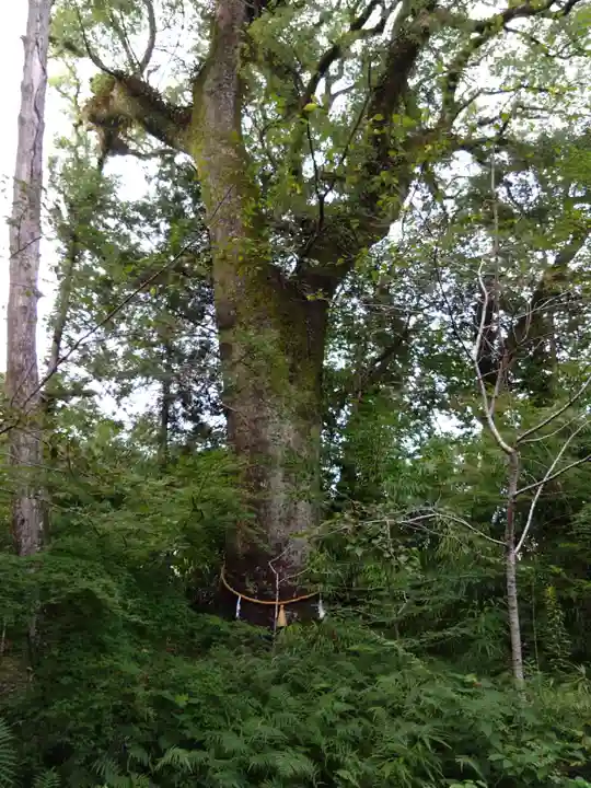 土佐神社(高知県)
