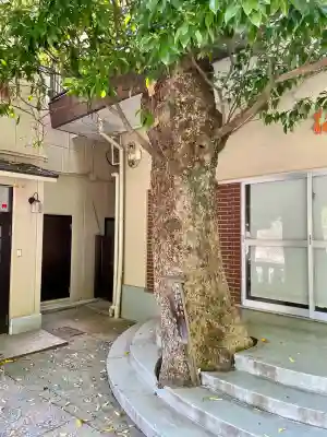 根岸八幡神社(神奈川県)