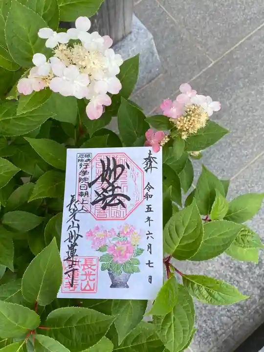 妙蓮寺(神奈川県)