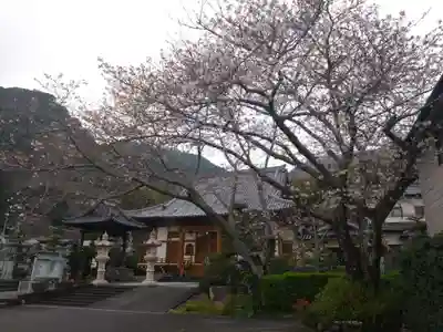 竜国寺(静岡県)