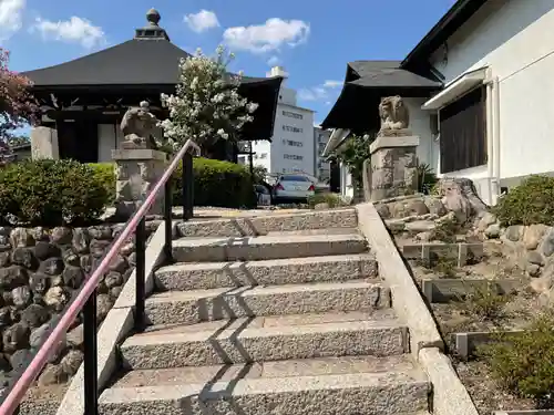 東大禅寺の狛犬