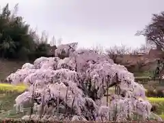 阿邪訶根神社(福島県)