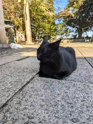 王子神社(徳島県)