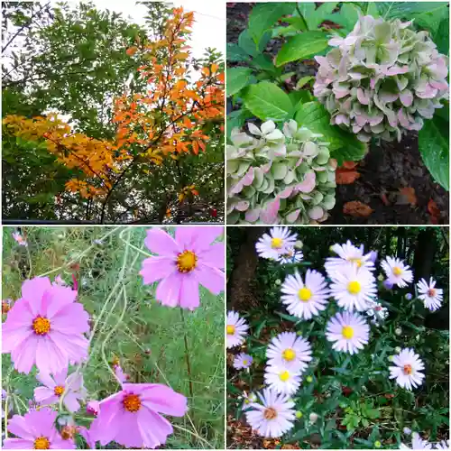 熊碓神社(北海道)