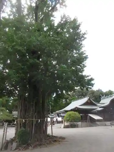 健軍神社(熊本県)