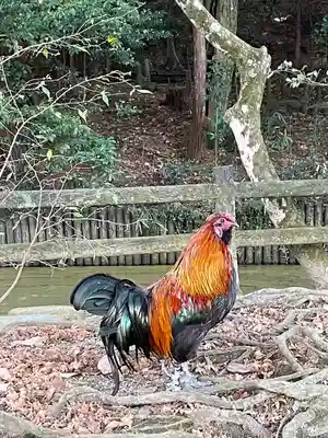 石上神宮(奈良県)