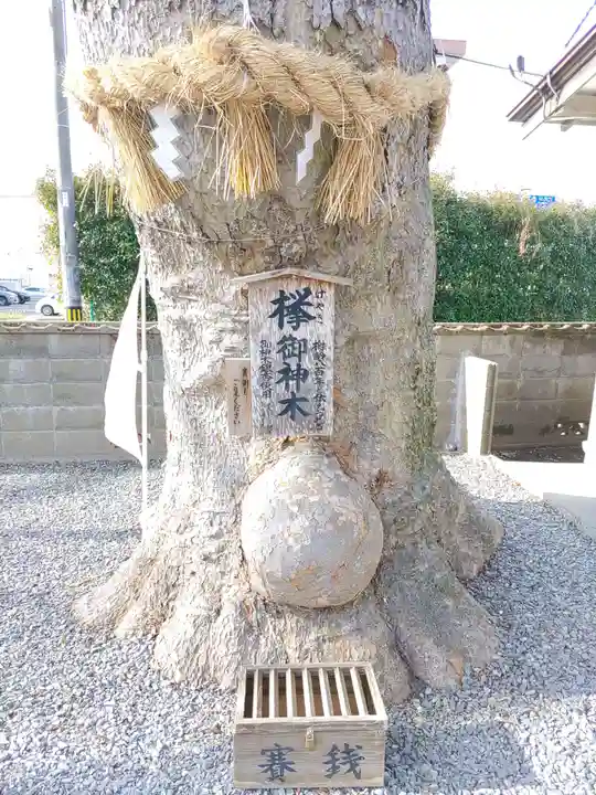須賀神社(宮城県)