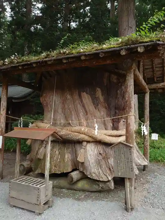 小國神社の自然