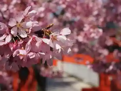 車折神社(京都府)