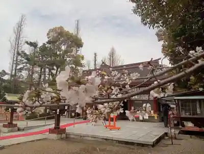 阿部野神社(大阪府)