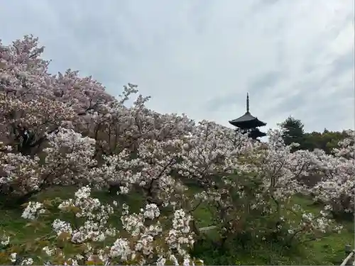 仁和寺(京都府)