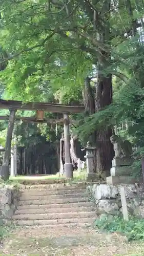 質美八幡宮の自然