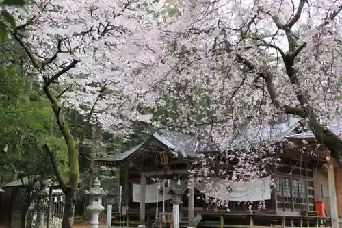 王宮伊豆神社の本殿・本堂