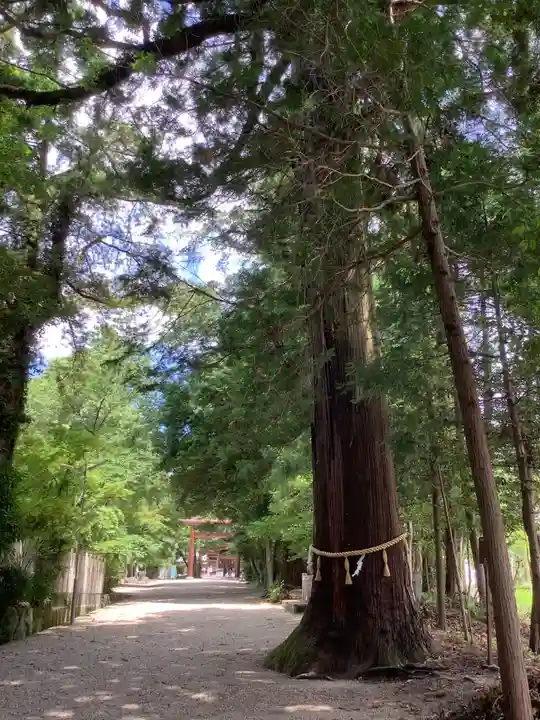 猿投神社の自然