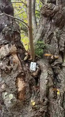 矢不来天満宮(北海道)