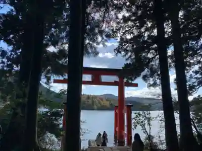 箱根神社の鳥居