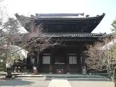 知恩院の本殿