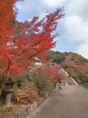 三室戸寺(京都府)