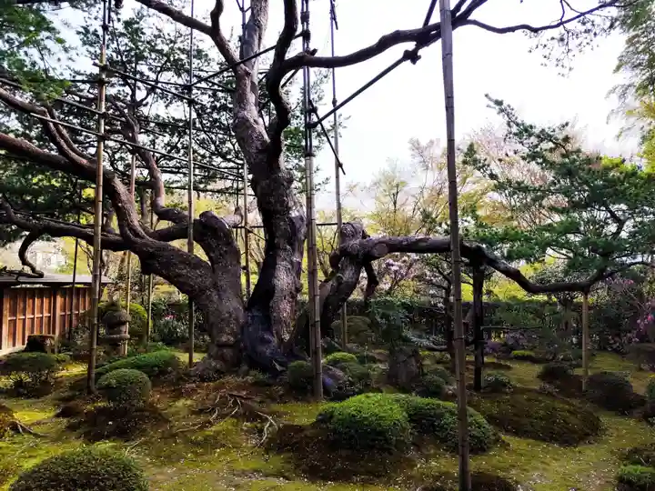 宝泉院(京都府)