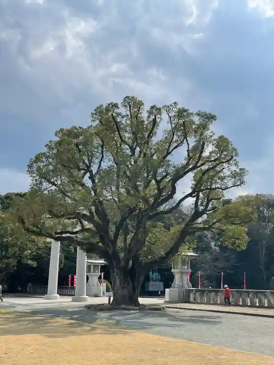 福岡縣護國神社の自然