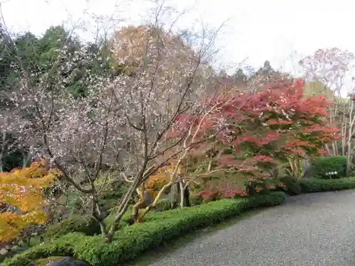 當麻寺の自然