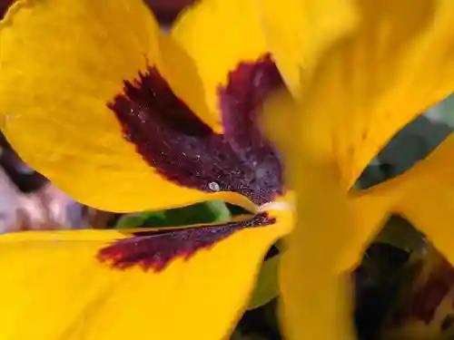 豊景神社(福島県)