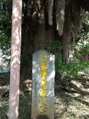 千葉寺のその他建物
