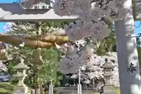 高司神社〜むすびの神の鎮まる社〜の自然