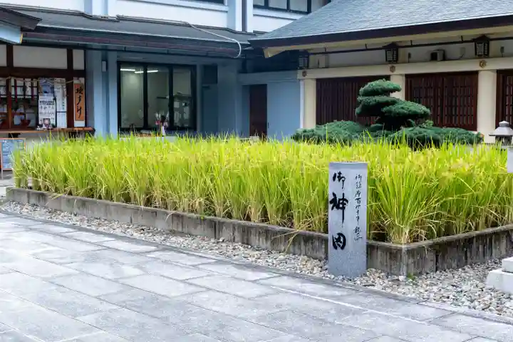 愛知縣護國神社(愛知県)