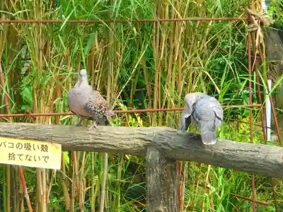 身形神社の動物