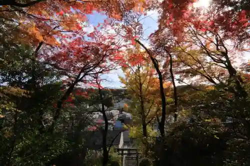 愛宕神社の景色