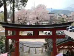 小幡八幡宮の鳥居