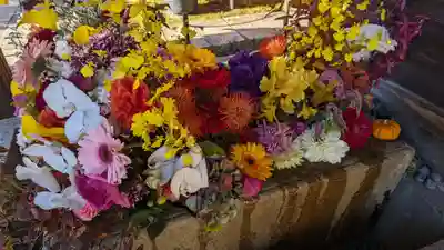 勝林寺(京都府)