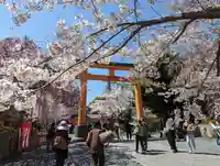平野神社(京都府)