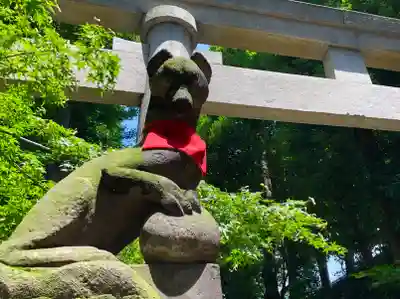 馬橋稲荷神社の狛犬
