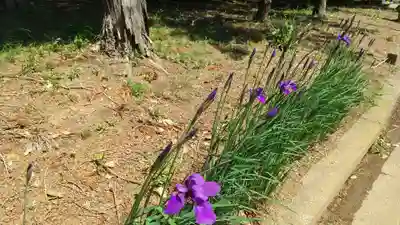 伏木香取神社(茨城県)